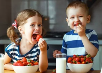 4 Yaşındaki Çocuğun Beslenme Programı