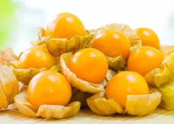 Altın Çilek Faydaları