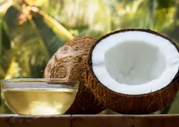 Hindistan Cevizi Yağının Faydaları