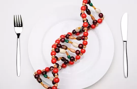 Nutrigenetik Diyet 1