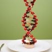 Nutrigenetik Diyetisyenliği Nedir?