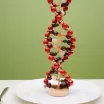 Nutrigenetik Diyetisyenliği Nedir?
