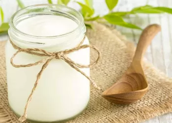 Probiyotik Yoğurt Tarifi