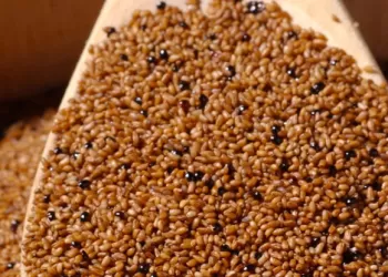 Teff Tohumu Çayı Yararları