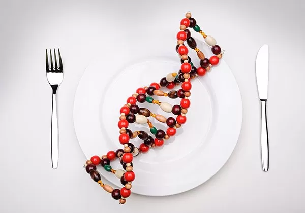 Nutrigenetik Diyetisyenligi Fiyatlari